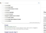 Inilah yang diindex google tentang NU