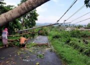 HUJAN DERAS DISERTAI ANGIN KENCANG MEROBOHKAN BANYAK BANGUNAN DI DESA KETAWANG LAOK  SUMENEP