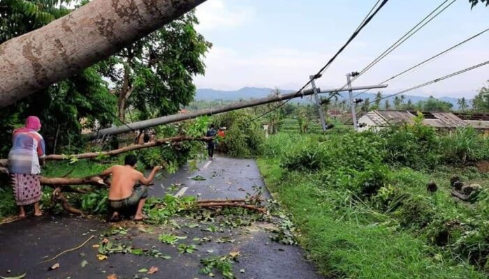 HUJAN DERAS DISERTAI ANGIN KENCANG MEROBOHKAN BANYAK BANGUNAN DI DESA KETAWANG LAOK  SUMENEP