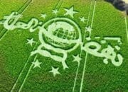 Bertani Sebagai Solusi Jangka Panjang untuk Menghadapi Masalah Dirumah Aja