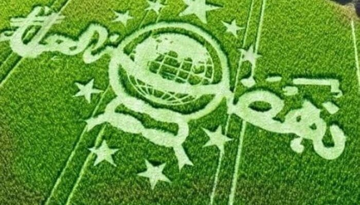Bertani Sebagai Solusi Jangka Panjang untuk Menghadapi Masalah Dirumah Aja