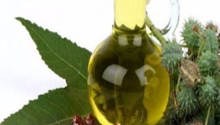 AROMA SEMERBAK MINYAK KESTURI