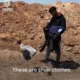 Video memperlihatkan seorang pria Palestina dipaksa ditelanjangi oleh tentara Israel