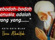 Salah Satu Karomah Maulana Syekh Ibnu Athoillah as-Sakandari 4 Salah Satu Karomah Maulana Syekh Ibnu Athoillah as-Sakandari
