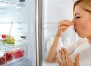 Tips Ampuh Agar Kulkas Tetap Segar Tanpa Bau Tak Sedap!