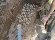 Penemuan Puluhan Granat dan Amunisi di Halmahera Utara, Polisi Sebut Peninggalan Jepang 4 Penemuan Puluhan Granat dan Amunisi di Halmahera Utara, Polisi Sebut Peninggalan Jepang