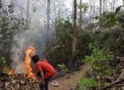 18 Kecamatan di Kabupaten Mojokerto Dinyatakan Rawan Kebakaran
