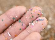 Hati-hati, 7 Makanan Ini Paling Banyak Terkontaminasi Mikroplastik