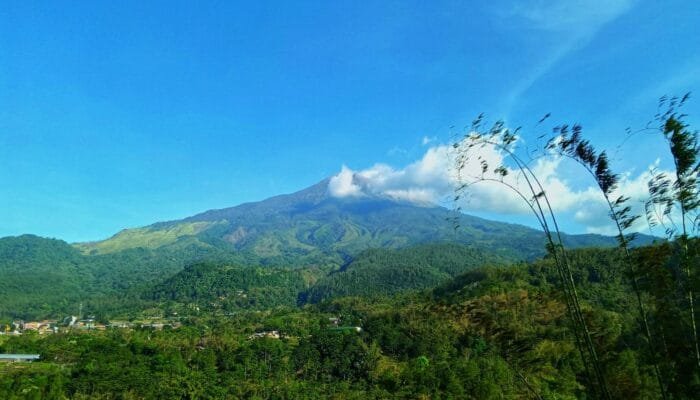 Waspada Bencana, Ini Tips Agar Terhindar dari Bahaya Alam di Kawasan Pacet Mojokerto